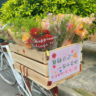 宠物诊疗基础知识